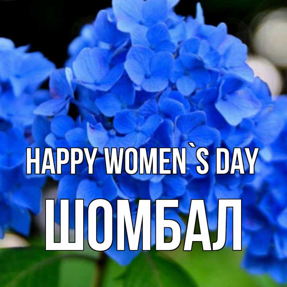 Greetings card с именем, ШОМБАЛ happy women`s day синие цветы Greetings with text for free download 